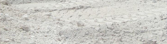 天然漂白土